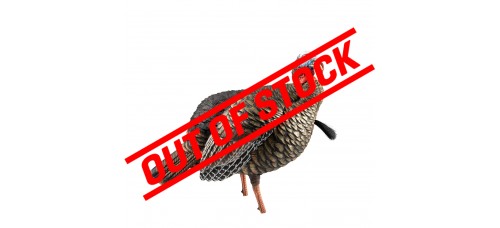 Avian X HDR Jake Turkey Decoy Avian X HDR Jake Turkey Decoy